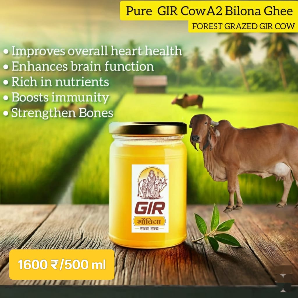 Gir Cow A2 Bilona Ghee - 500ml