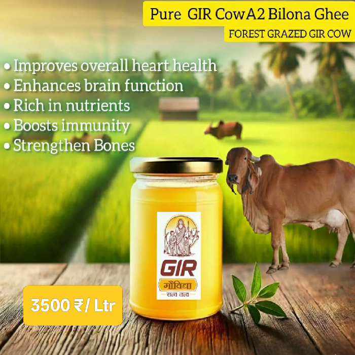 Gir Cow A2 Bilona Ghee - 1 Ltr